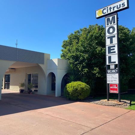 Citrus Motel Griffith Bagian luar foto