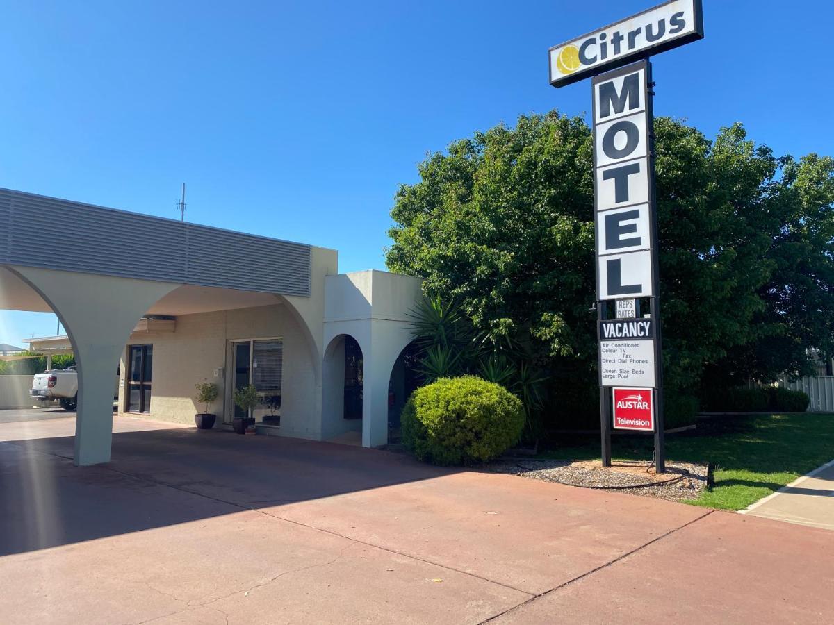 Citrus Motel Griffith Bagian luar foto