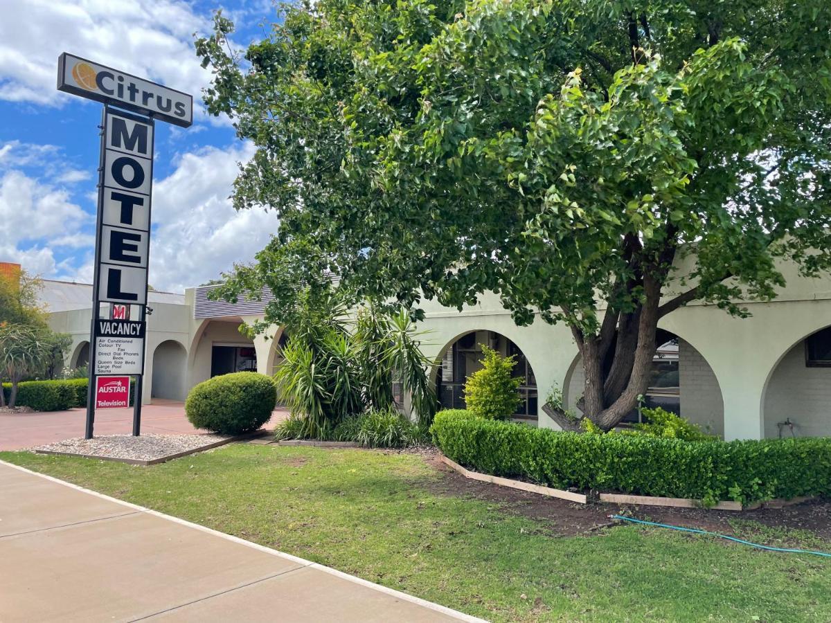 Citrus Motel Griffith Bagian luar foto